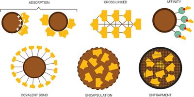 On-flow enzymatic inhibitor screening: The emerging success of liquid chromatography-based assays